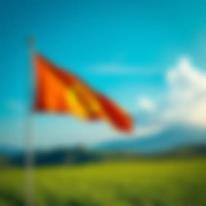 Bitcoin Flag in a Landscape A flag with the Bitcoin symbol flies over a green landscape, representing a potential Bitcoin-only country.