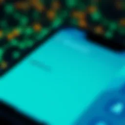 Close-up of a smartphone screen showing Blockstream Green Wallet settings with seed phrases visible