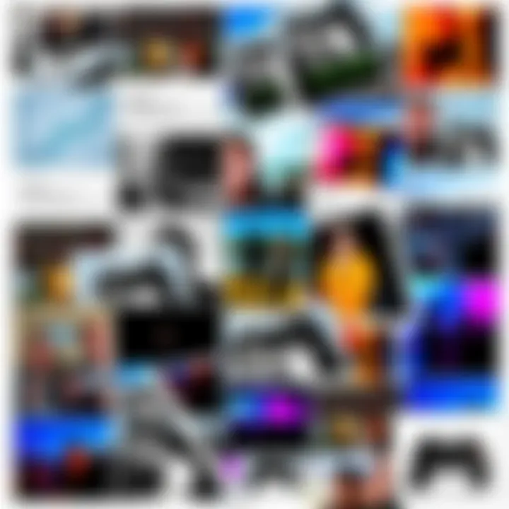 A collage showing images typical of a crypto enthusiast's iPhone camera roll, including screenshots of charts, crypto memes, and photos of events.
