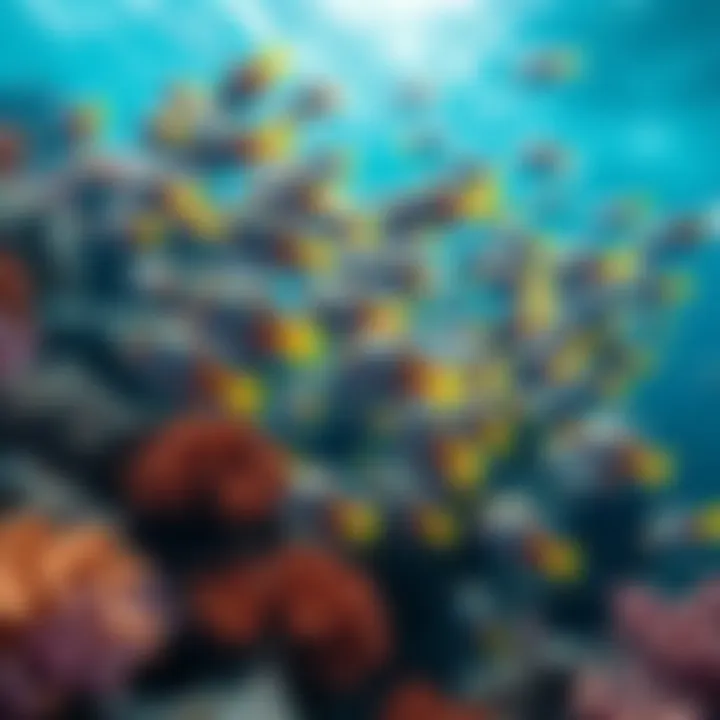 A school of small fish swimming among colorful corals and plants in a vibrant underwater scene
