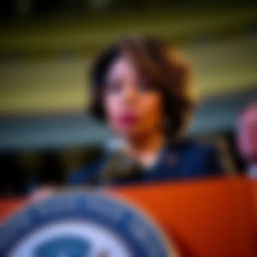 Congresswoman Maxine Waters expressing disapproval of Trump's crypto pardon during a press conference