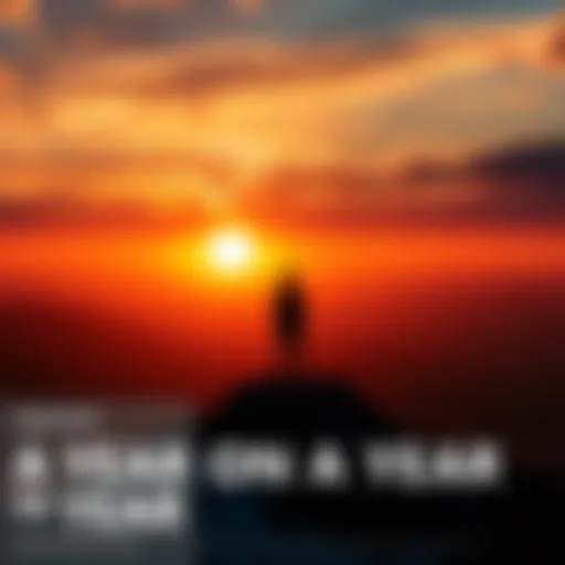 A person standing on a hilltop looking at a sunset, symbolizing contemplation and growth over the past year.
