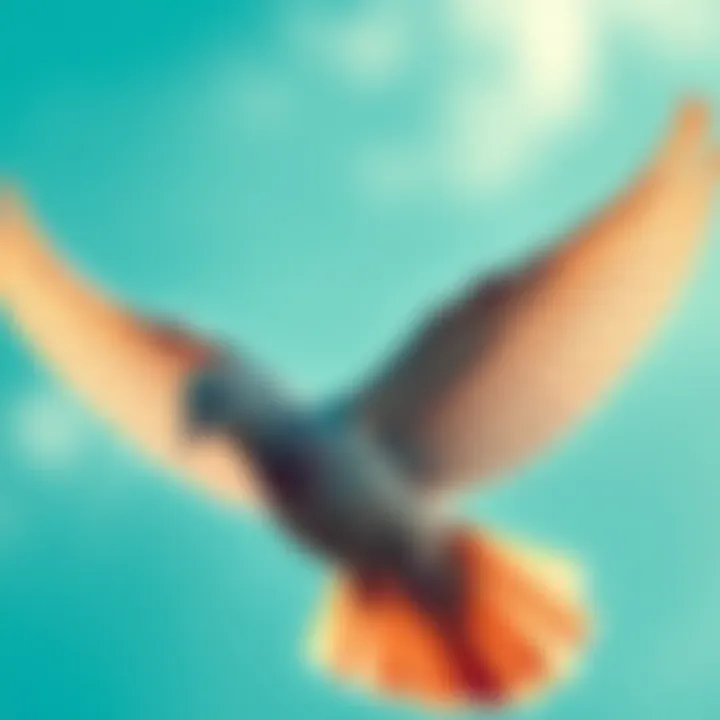 A dove flying against a blue sky, representing freedom and peace.